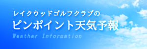 ピンポイント天気